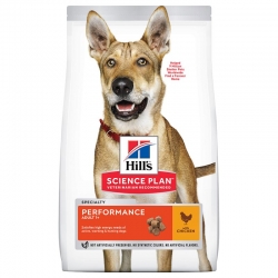 HILL'S SP Canine Adult Performance 14kg